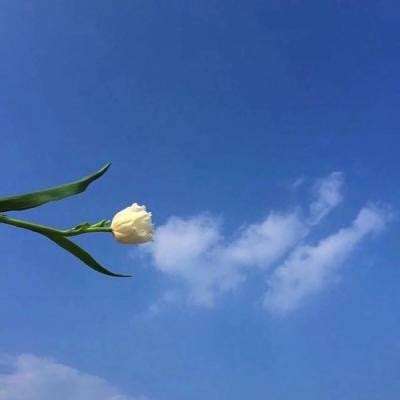 别抢我的糖游戏(暂未上线)v1.0.0 安卓版