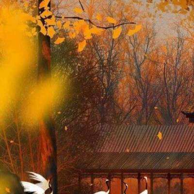 神龙武士手游百度版下载